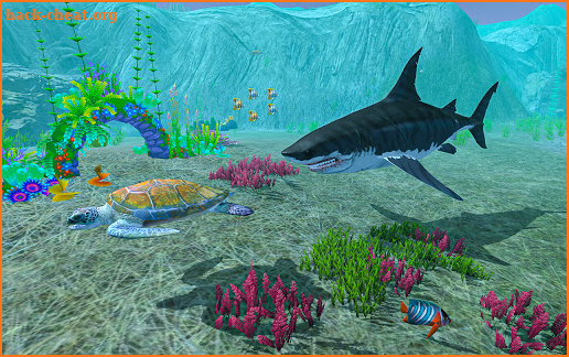 Cute Mermaid World Vs Turtles – Sea World Games screenshot