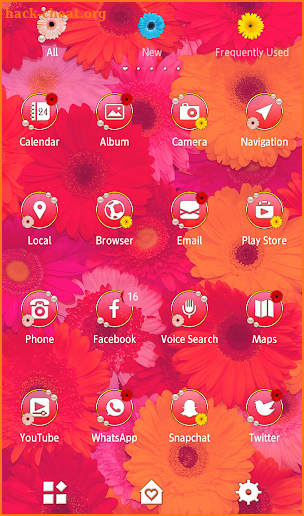 Cute Wallpaper Colorful Gerbera Flowers Theme screenshot