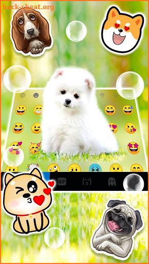 Cute White Puppy Keyboard Background screenshot