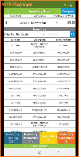 Cynergi Inventory Audit screenshot