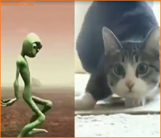 dame tu cosita 2018 screenshot