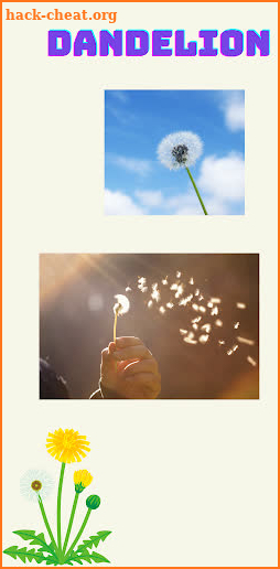 Dandelion screenshot