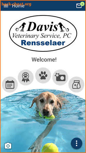 Davis Vet Service Rensselaer screenshot