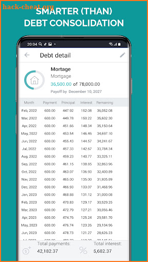 Debt Free Box: Snowball screenshot