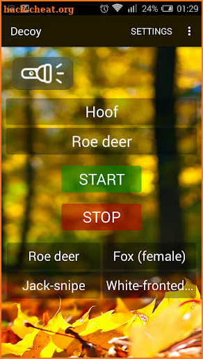 Decoy PRO screenshot