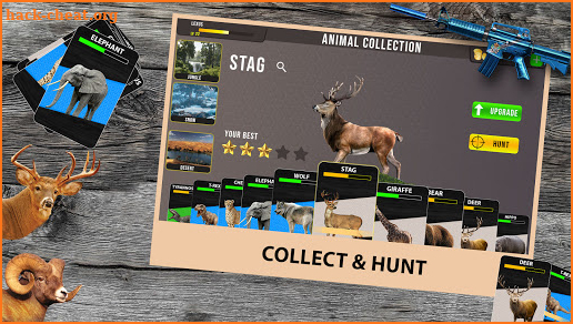 Deer Hunt Wild Animal Shooting Games 2021 screenshot