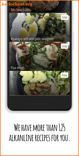 Delicious alkaline recipes screenshot