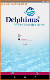 Delphinus Memories screenshot