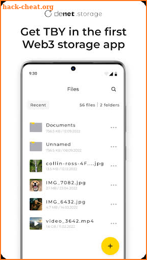 DeNet Storage screenshot