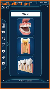 Dental Anatomy Pro. screenshot