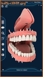 Dental Anatomy Pro. screenshot