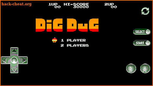 Dig Dug Game classic arcade screenshot