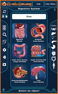 Digestive System Anatomy Pro. screenshot