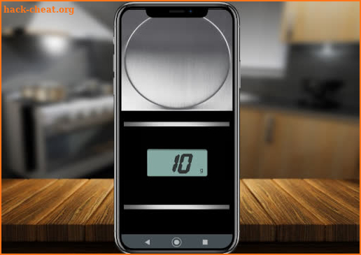 DIGITAL GRAM SCALE / SIMULATOR screenshot