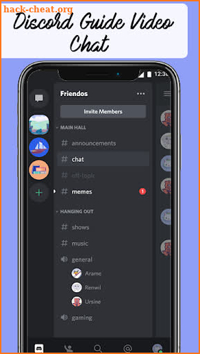 Discord Guide Video Chat screenshot