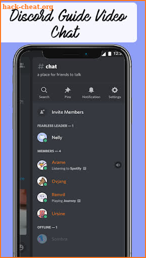 Discord Guide Video Chat screenshot