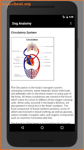 Dog Anatomy : Canine Anatomy screenshot