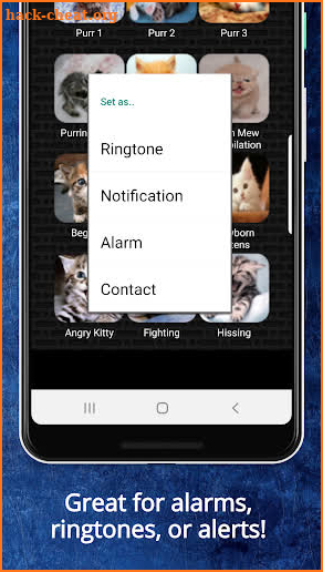 Dog & Cat Ringtones screenshot