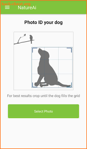 Dog Breed Identifier - Dog Scanner screenshot