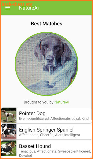 Dog Breed Identifier - Dog Scanner screenshot