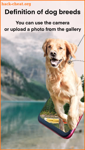 Dog breeds - Smart Identifier screenshot