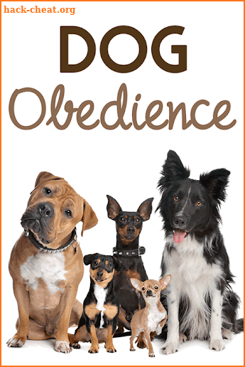 Dog Obedience screenshot