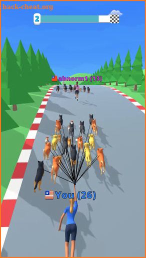 Dog Race screenshot