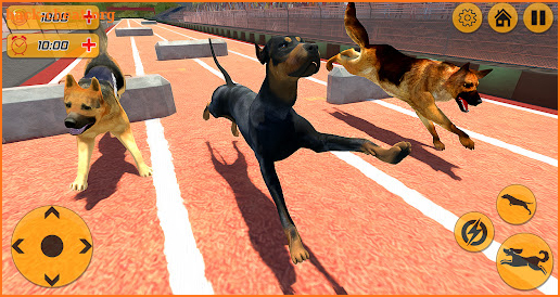 Dog Racing Action Game screenshot