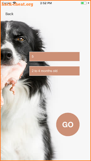 Dog Raw Feeding Calculator screenshot