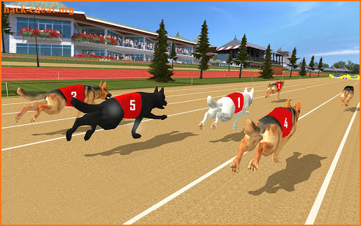 Dog real Racing  Derby Tournament simulator screenshot