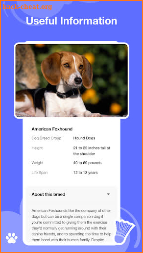 Dog scanner - Dog Breed ID screenshot