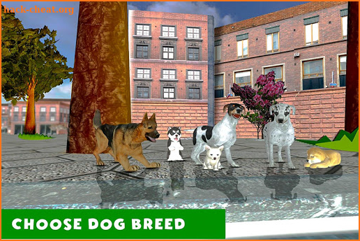 Dog Sim Free Animal Games :Dogs Pet Games Offline screenshot