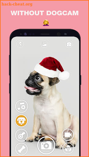 DogCam - Dog Selfie Filters and Camera screenshot