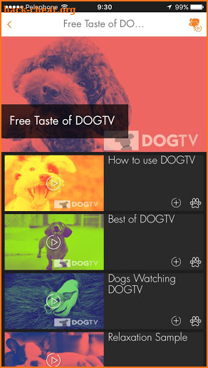 DOGTV screenshot