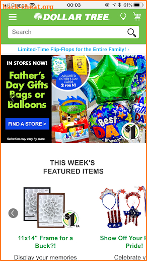 DollarTree : Floral Supplies, Party Supplies screenshot