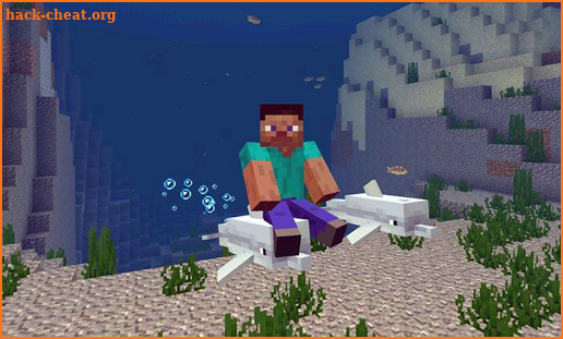 Dolphin Addon For MCPE screenshot