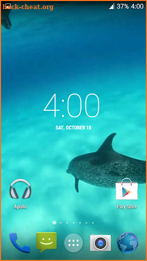 Dolphins HD. Video Wallpaper screenshot