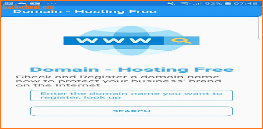 Domain - Hosting screenshot