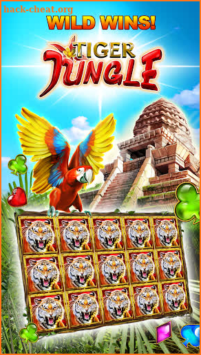 Double Diamond Casino Slots screenshot