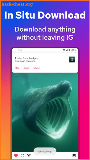 Downloader for Instagram: Video Photo Story - Velo screenshot