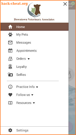 Downtown Veterinary Assoc screenshot