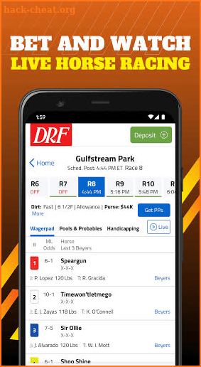 DRF screenshot