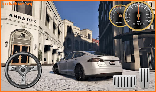 Drive Tesla Model S P100D Eco City screenshot