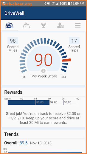 DriveWell screenshot