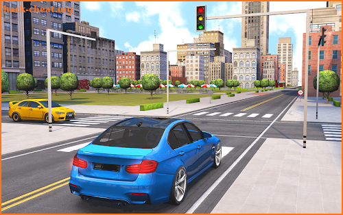 Driving School Fever screenshot