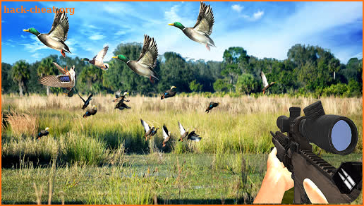 Duck Hunting Challenge screenshot