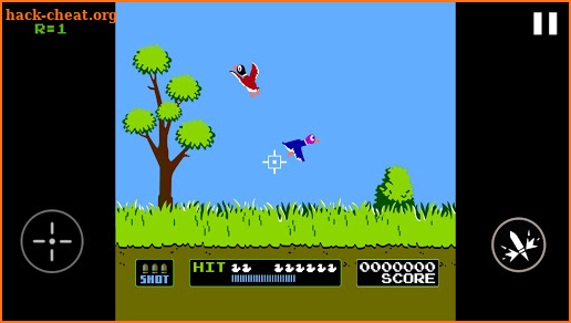 Duck Shooting screenshot