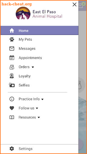 East El Paso Animal Hospital screenshot