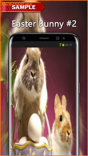 Easter Bunny Wallpapers screenshot