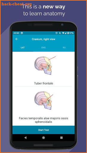 Easy Anatomy - Atlas & Quizzes screenshot